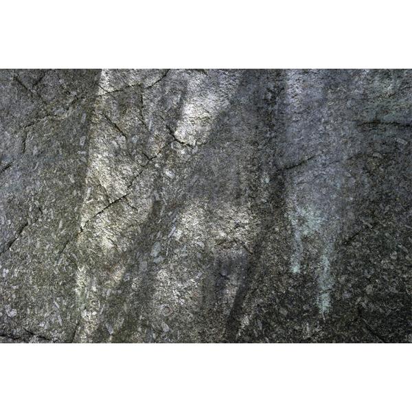 Close up of granite texture. Sunlight is hitting it in some spots.