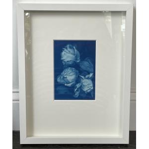 a cyanotype of 3 roses framed in white by sandi daniel