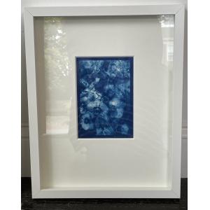 cyanotypes of orchids by sandi daniel framed in white