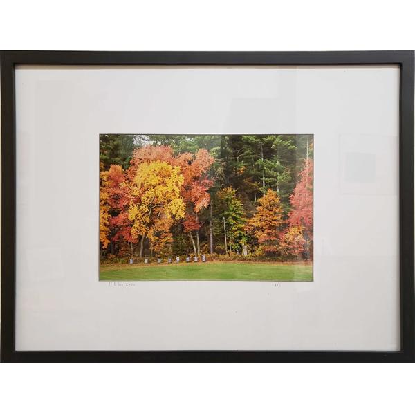 Framed and matted photograph of a fall landscape.
