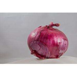 "Onion" by Lawrence Libby