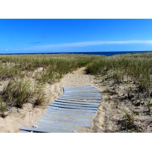 "Beach Path, South Beach" by Linda Cuccurullo