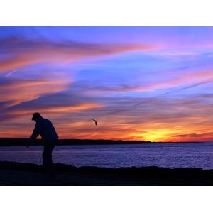 "Flying Towards the Light, Menemsha" by Linda Cuccurullo