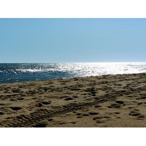 "Shimmering Seas, East Beach" by Linda Cuccurullo