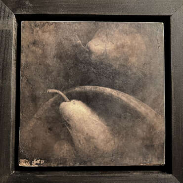 "Pear" by Sandi Daniel