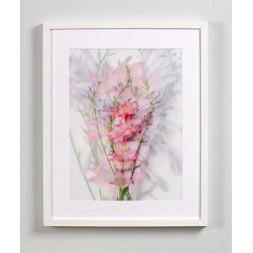 "Gladioli" by Sandi Daniel